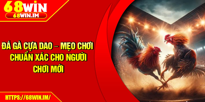 Đá Gà Cựa Dao – Mẹo Chơi Chuẩn Xác Cho Người Chơi Mới