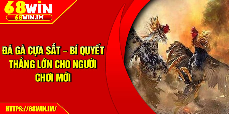 Đá Gà Cựa Sắt – Bí Quyết Thắng Lớn Cho Người Chơi Mới