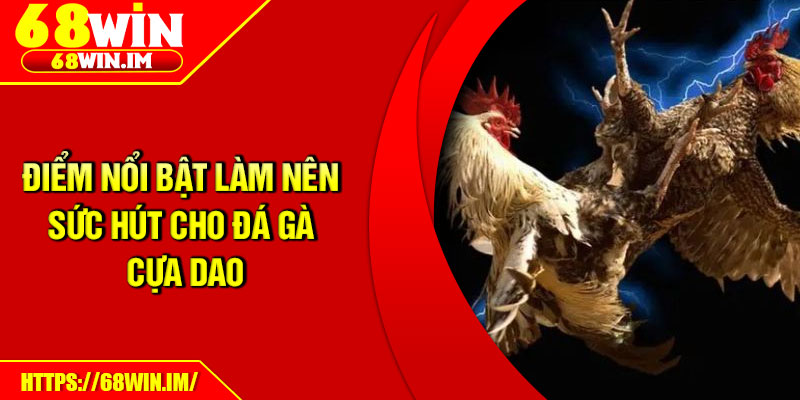 Điểm nổi bật làm nên sức hút cho đá gà cựa dao
