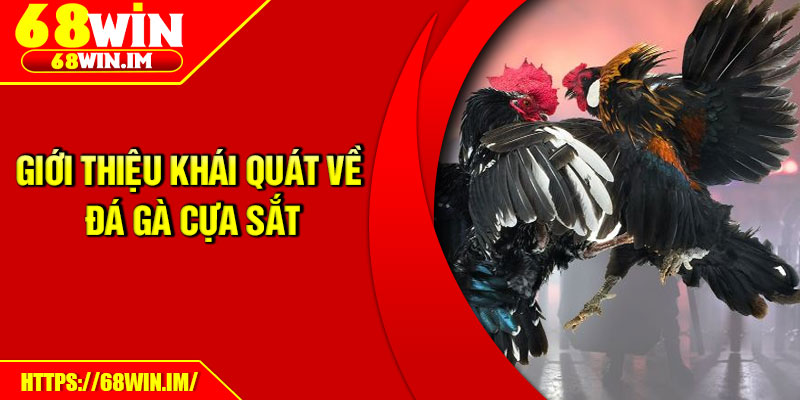 Giới thiệu khái quát về đá gà cựa sắt