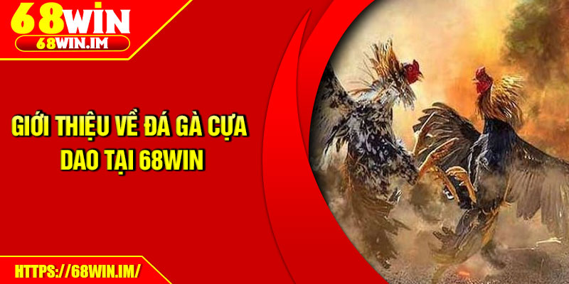 Giới thiệu về đá gà cựa dao tại 68win