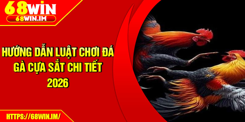 Hướng dẫn luật chơi đá gà cựa sắt chi tiết 2026