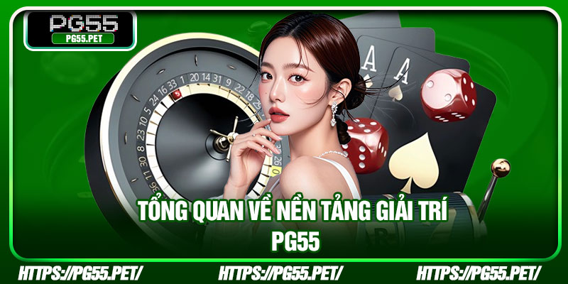 Tổng quan về nền tảng giải trí PG55